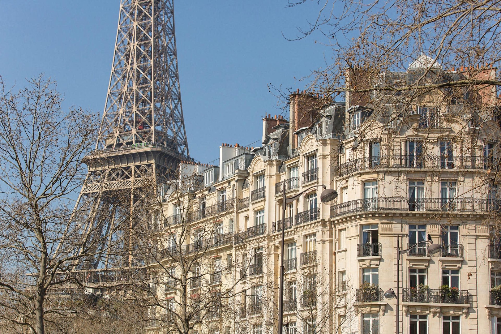 A classic Parisian winter view!