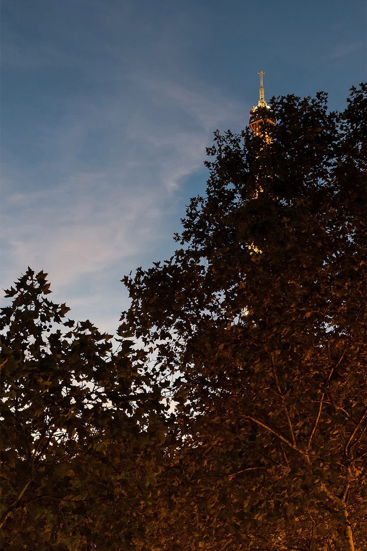 View the tip of the Eiffel Tower during spring and summer stays.