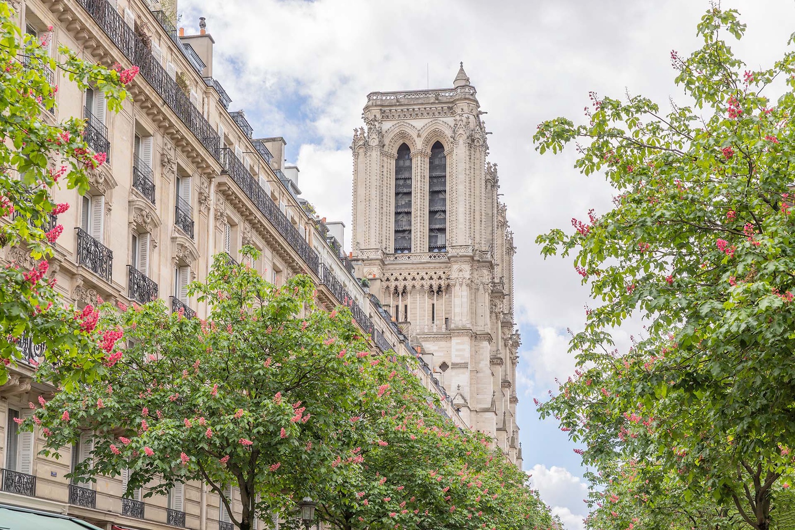 Step outside to be greeted by Notre-Dame Cathedral!