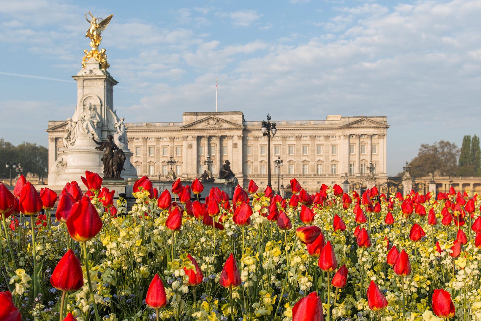 Buckingham Palace is surrounded by beautiful gardens!