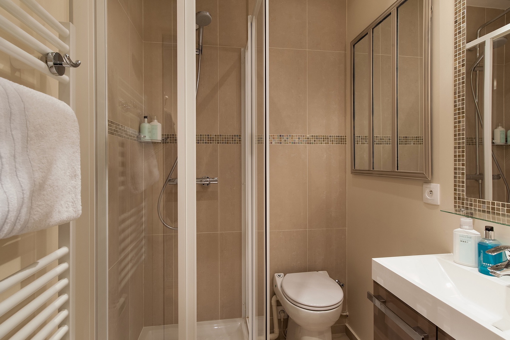 The luxurious bathroom is equipped with a shower, toilet and sink.