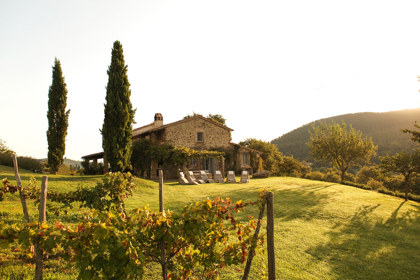 Vineyards, olive orchards, fruit trees and a kitchen garden enhance Villa Riposo Verde.