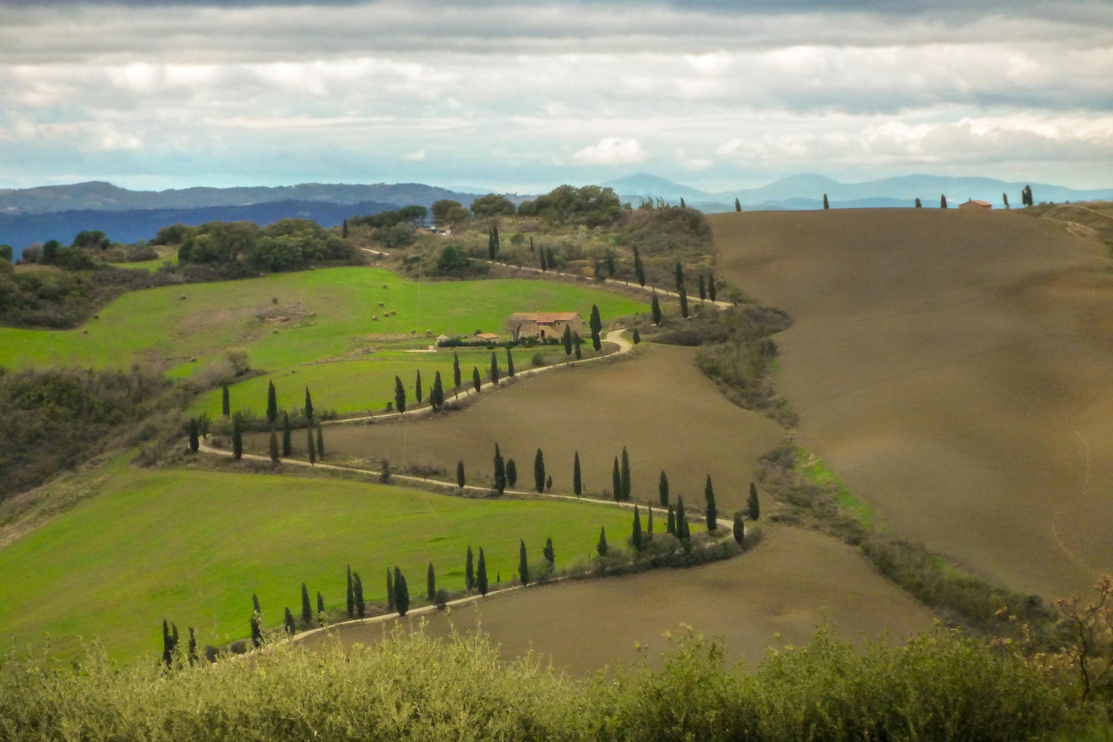 Country road, lined with cypress winds up a nearby hill. Inspiring!