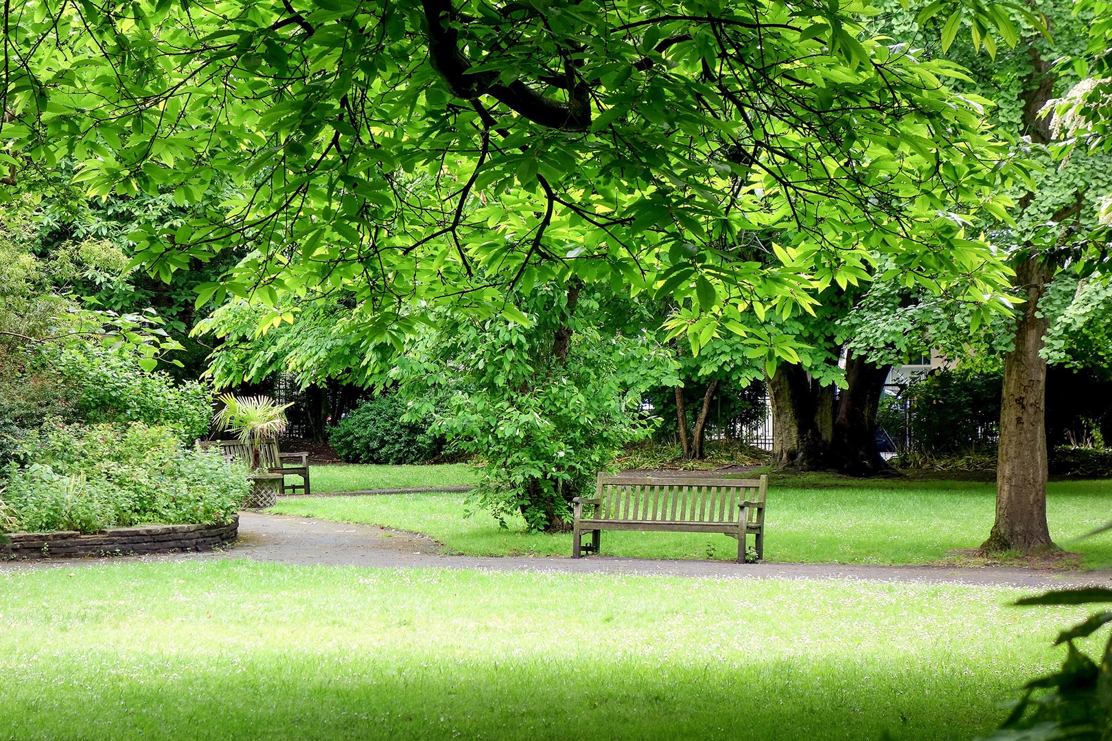 Enjoy the nearby Stanhope communal gardens.