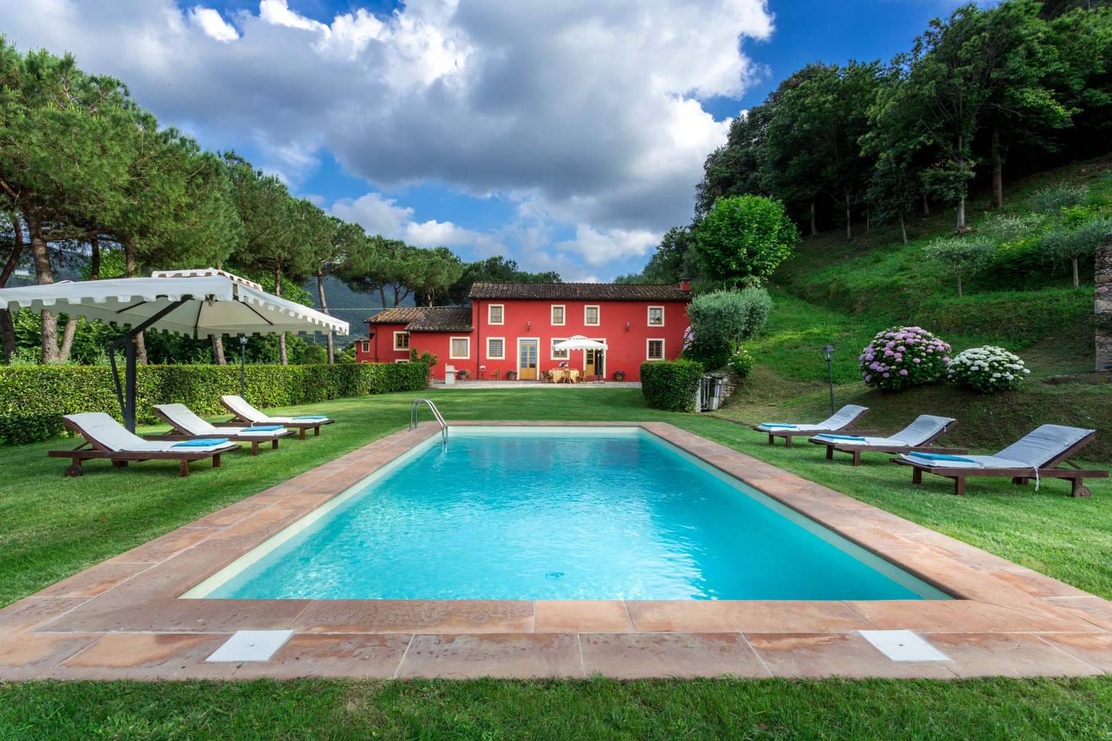 Beautiful Tuscan oil mill , immersed among olive groves.