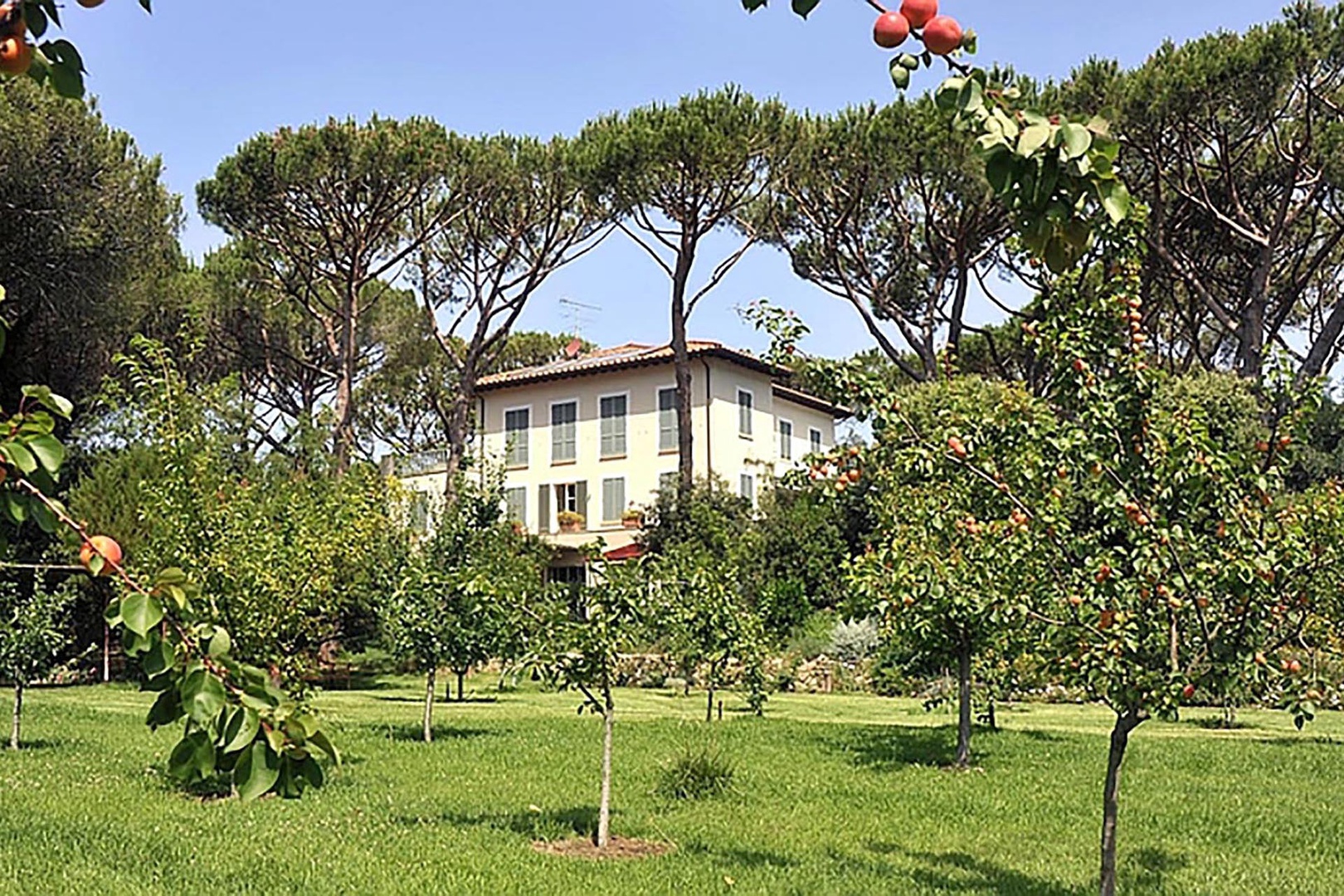 Set back in the lush green surrounding with a short walk to the beach, a perfect setting for your Tuscan getaway.