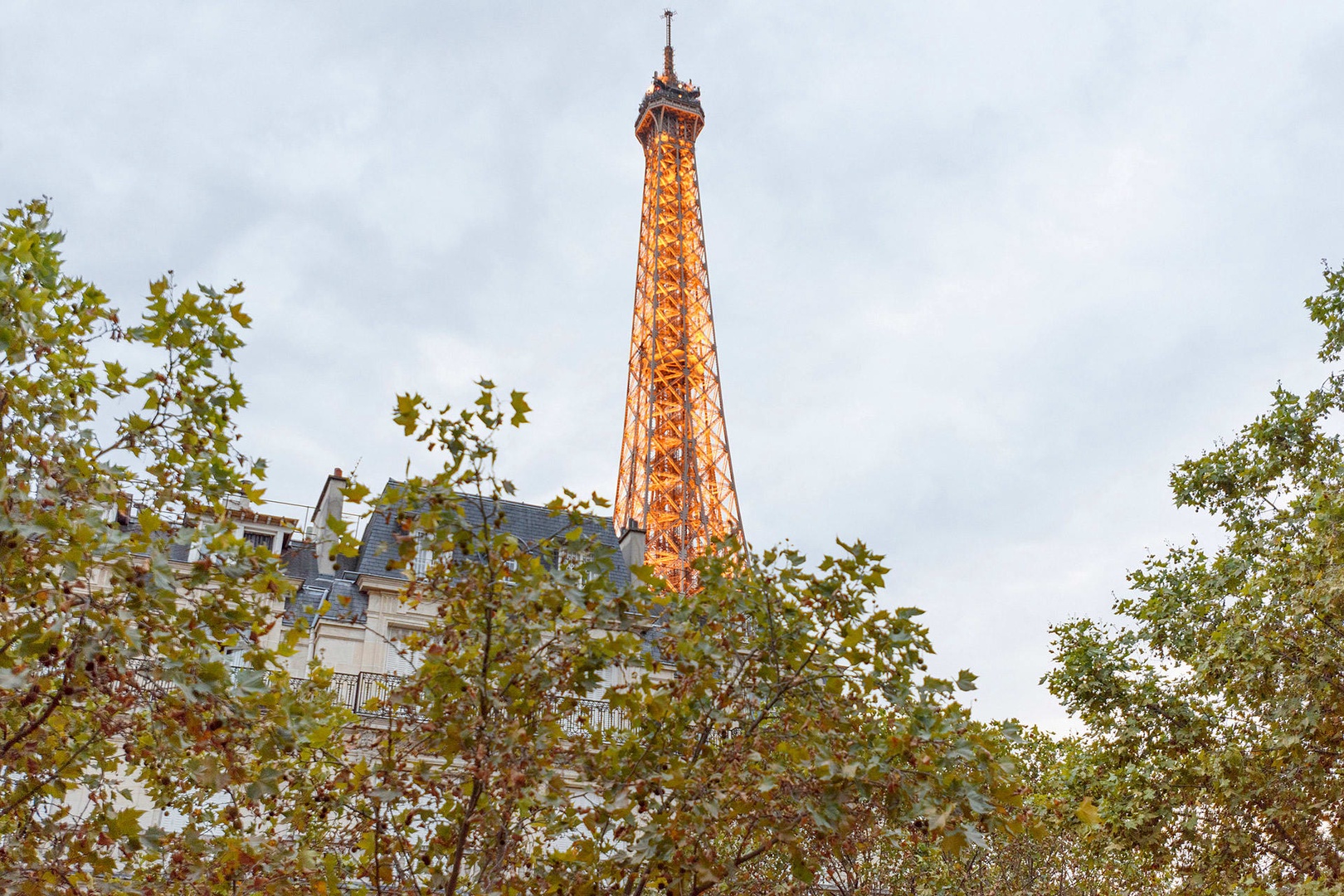 Enjoy the view of the Eiffel Tower peaking over rooftops.