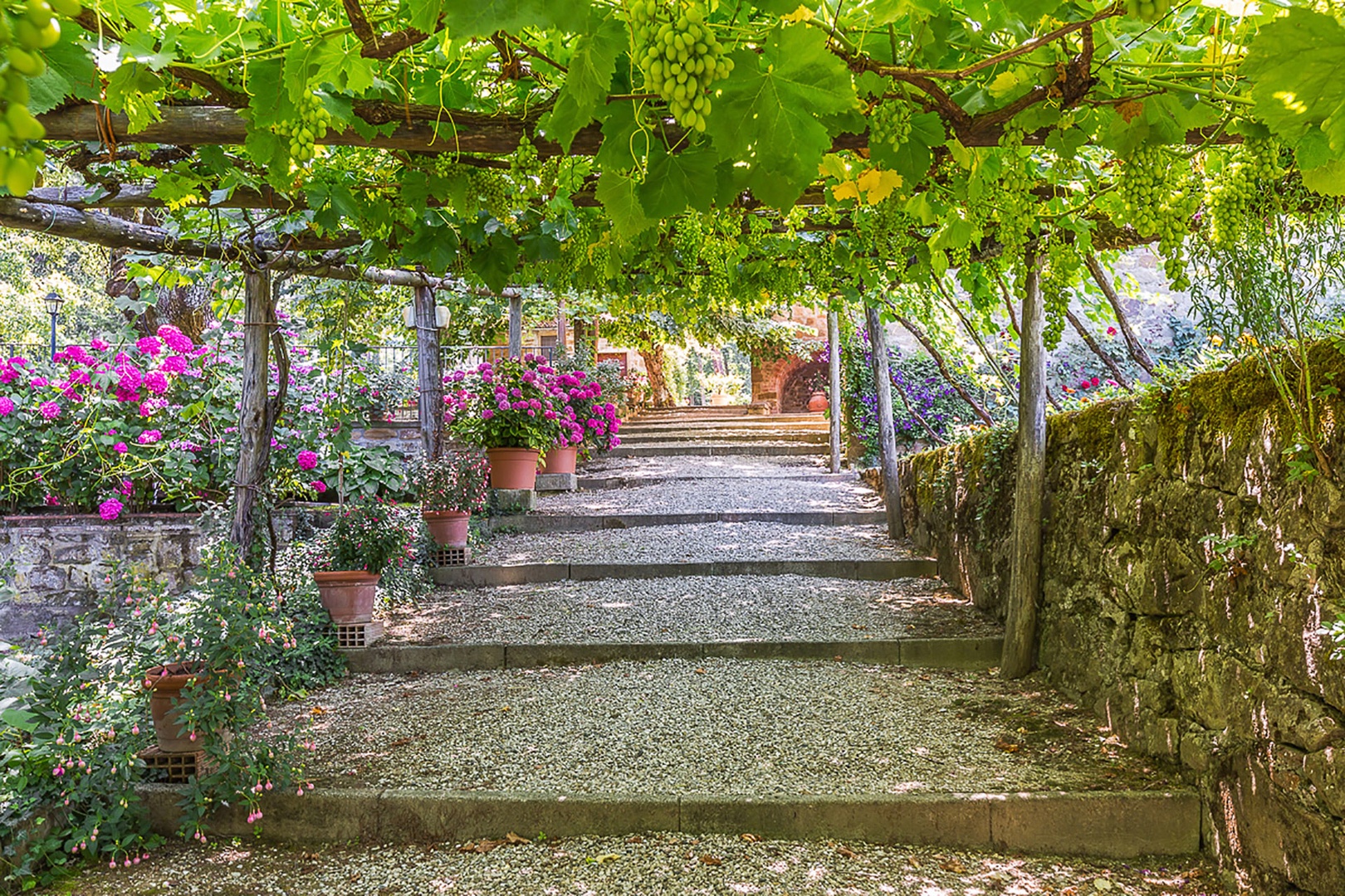 Grapevine covered pergola beckons you down a gravel path to the swimming pool and outdoor Jacuzzi.