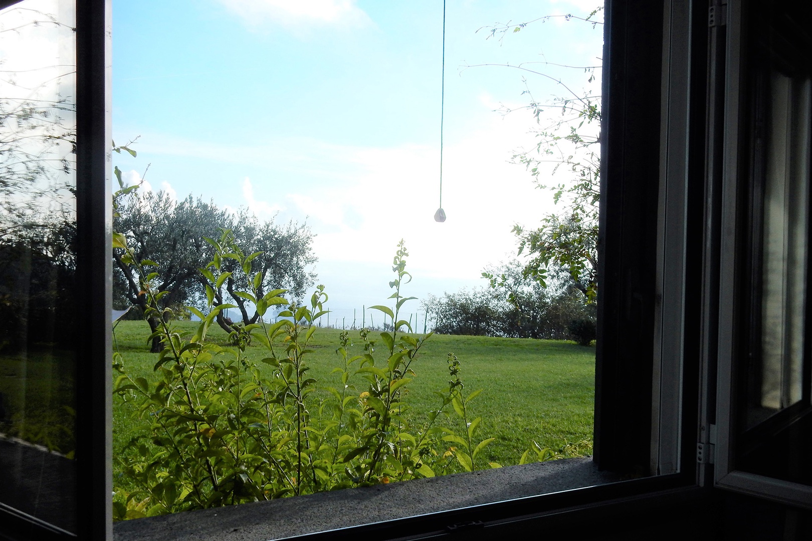 Views of the lawn and sea.