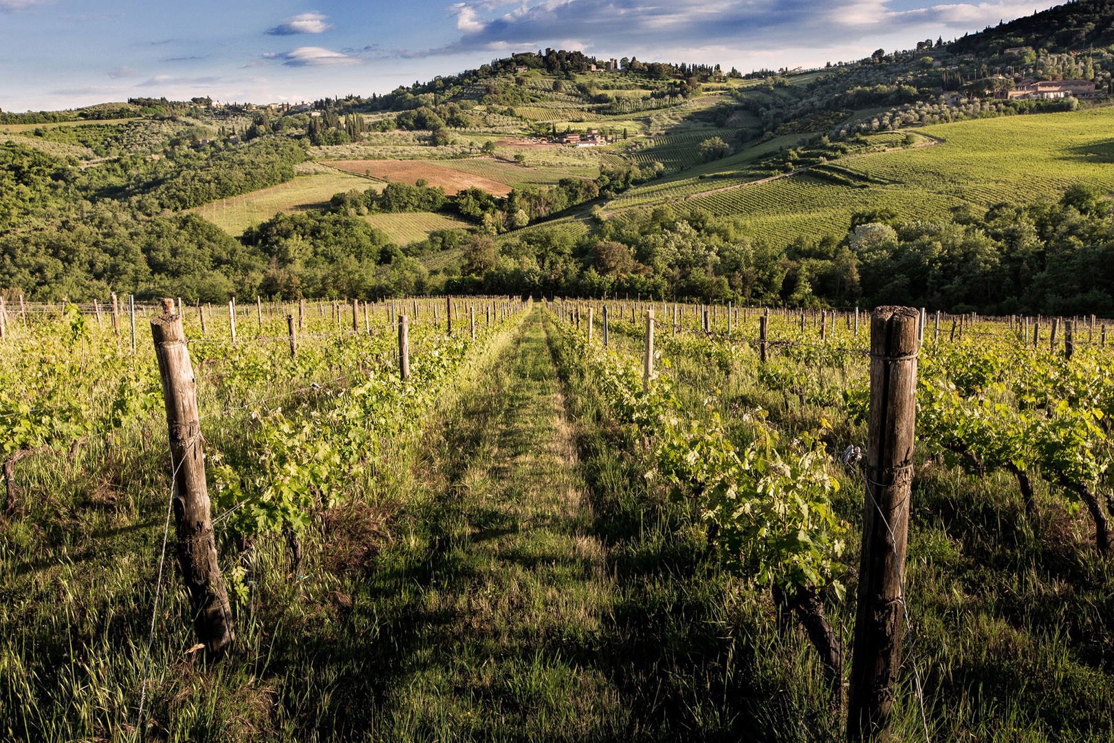 Be enchanted by the scenic views of vineyards and rolling hills that stretch out into the distance.