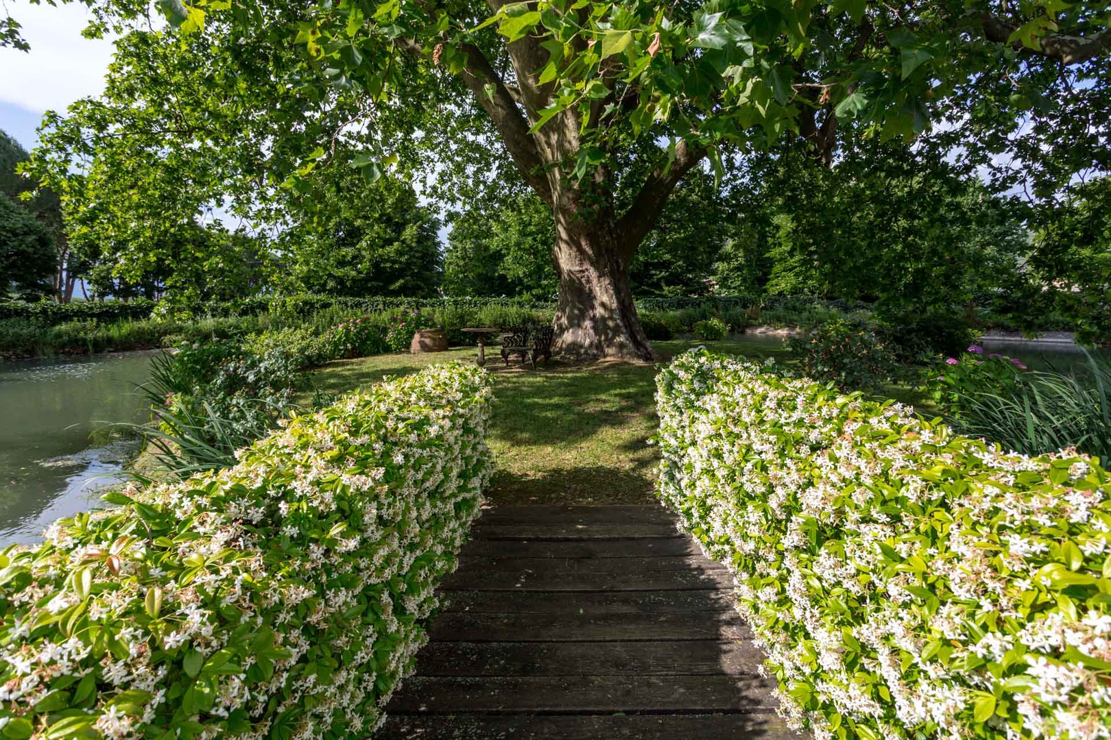 Lush landscape throughout the grounds