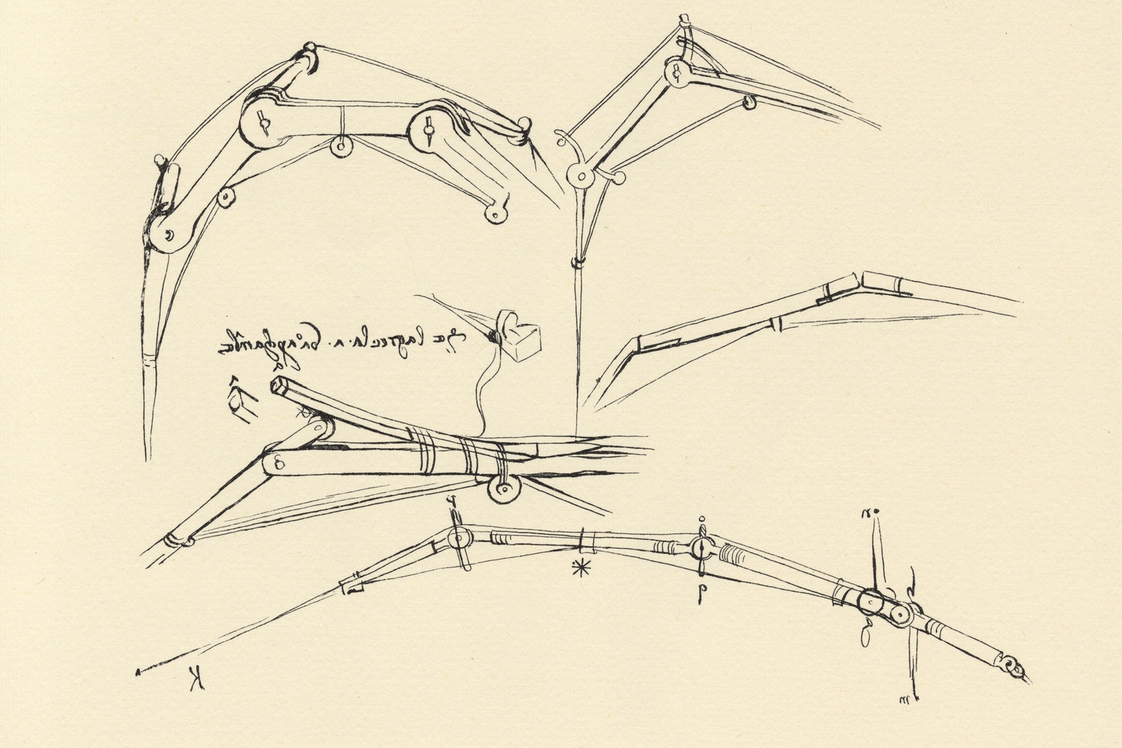 Leonardo da Vinci diagram of a proposed flying machine