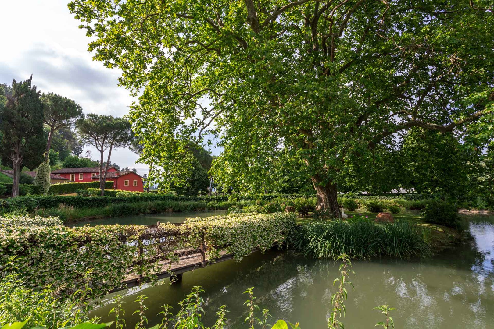 Small pond leading to shaded private island