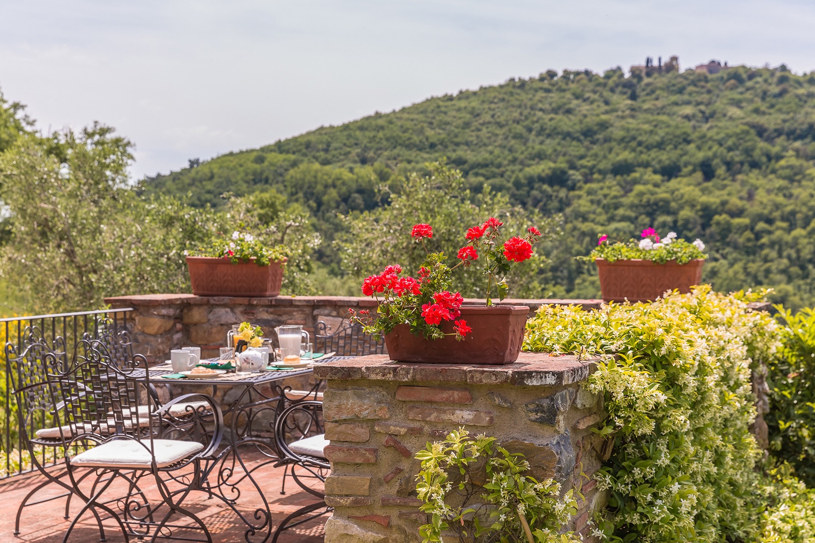 Views of Monsummano Alto from the table.