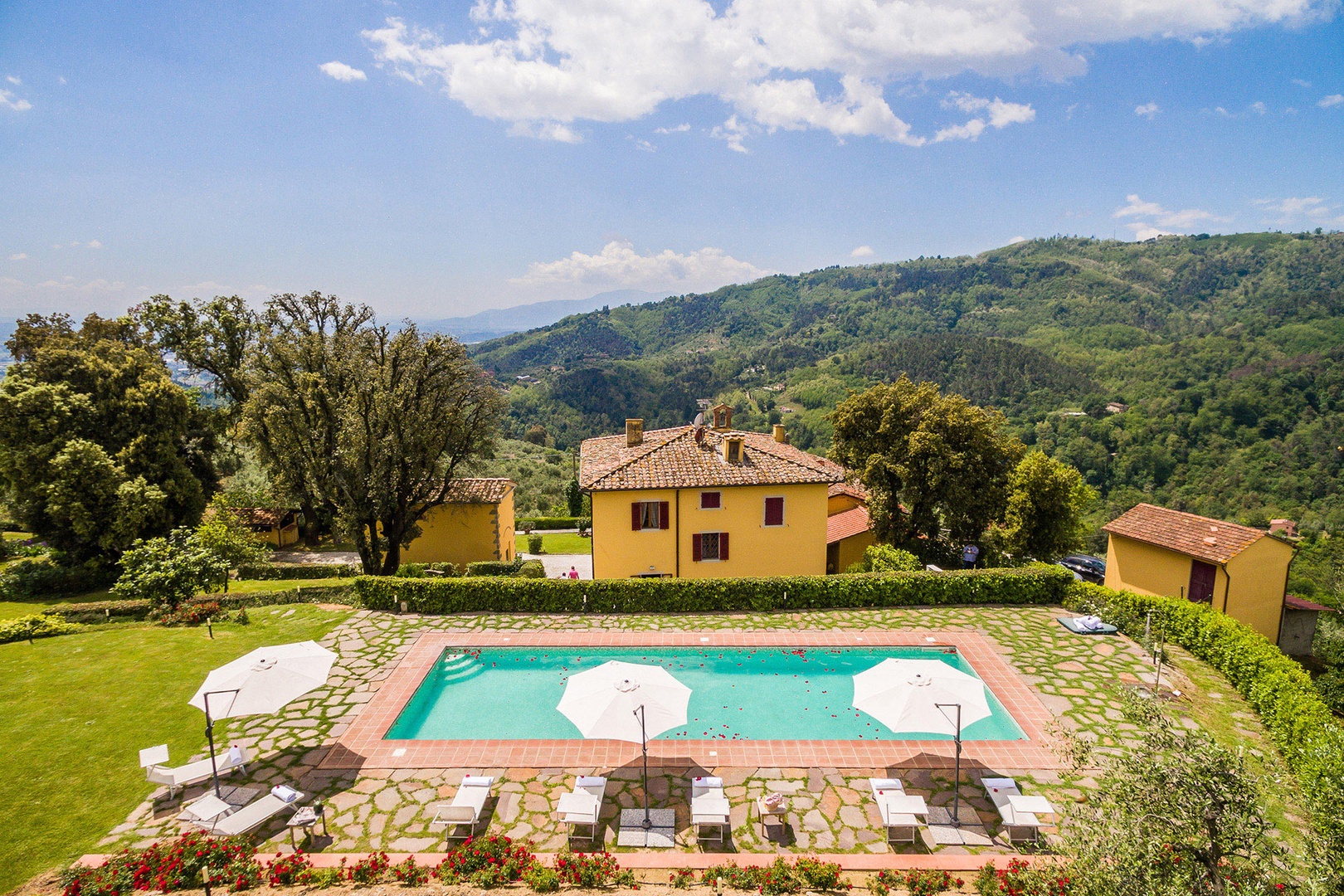 The large swimming pool sits on the hill behind the house.