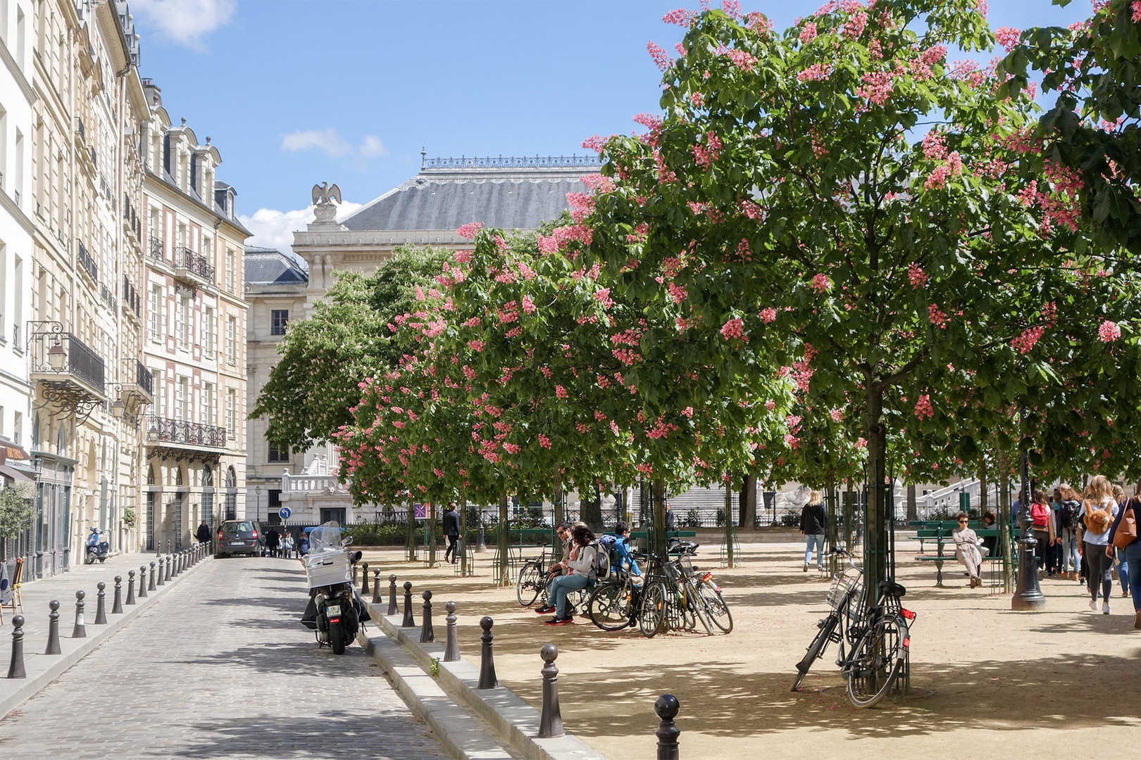 Place Dauphine is one of the most romantic spots in Paris!