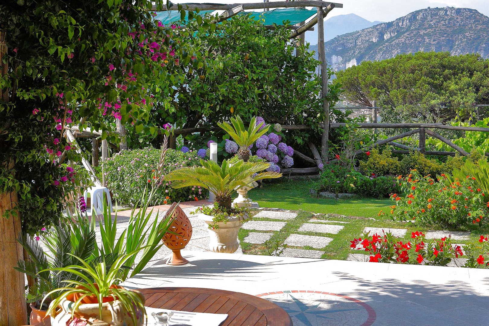 Garden is full of traditional Mediterranean plants.