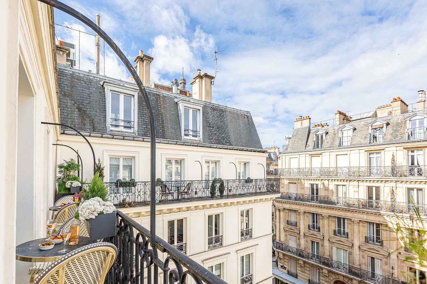 Charming Parisian balcony overlooks classic Haussmann architecture.