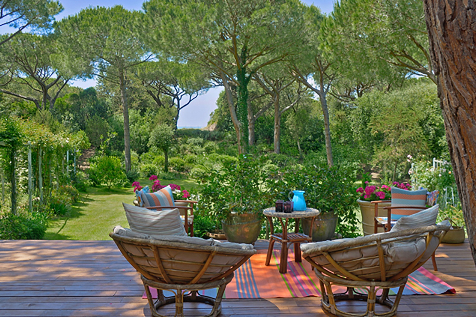 The estate is richly planted with fruit and olive trees, flowers and iconic umbrella pines.