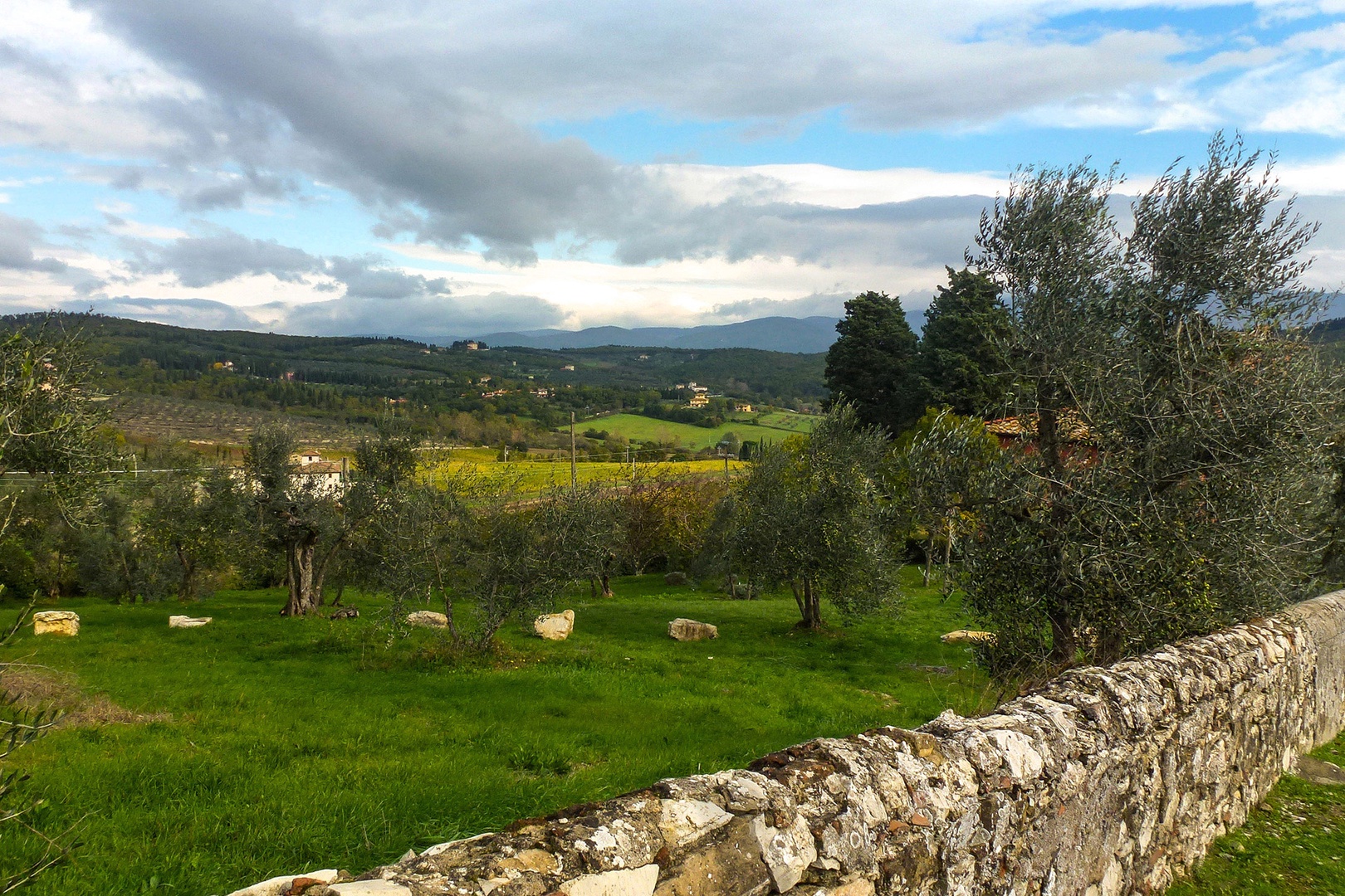 The estate produces several varieties of olive oil.