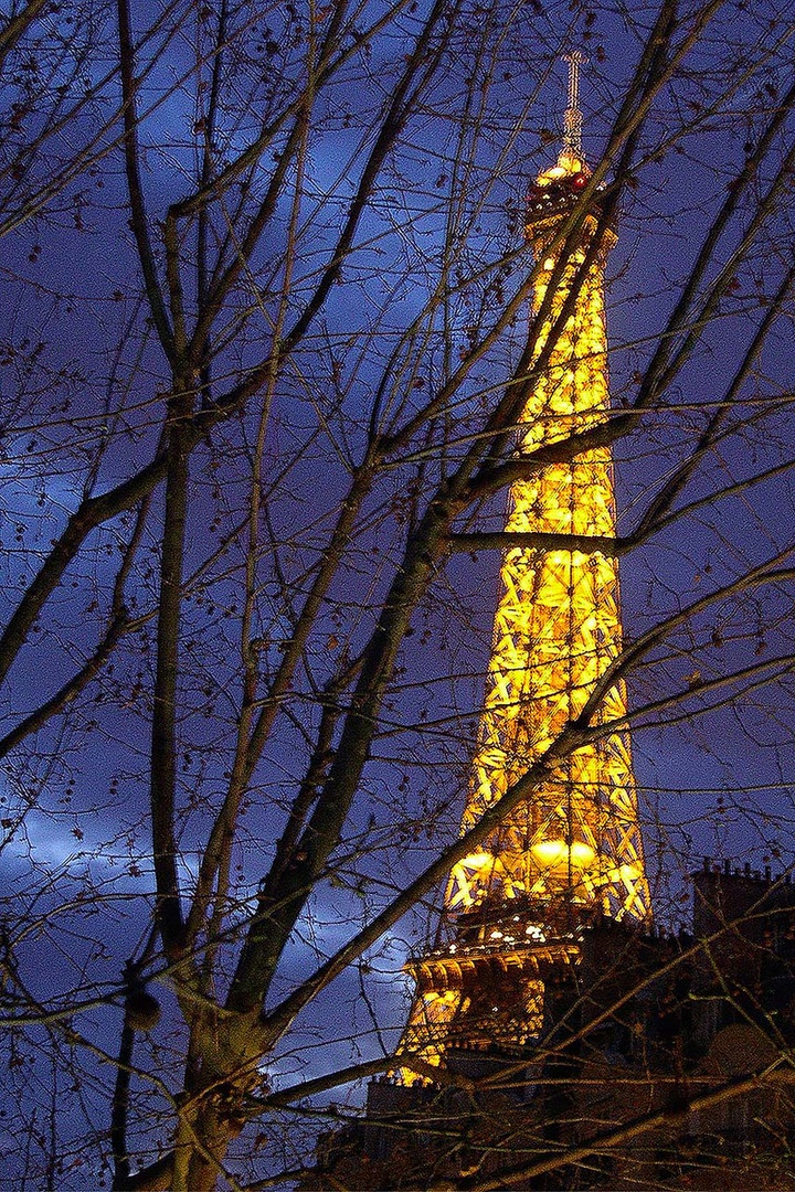 Enjoy Eiffel Tower views through the trees.