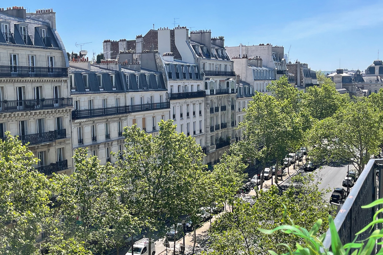Summer views over the tree-lined boulevard.