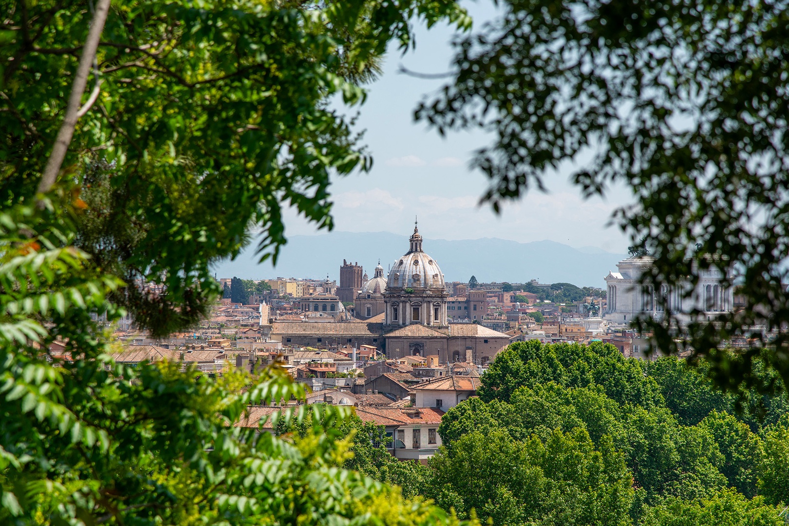 Peaceful moments and stunning views from Rome's Botanical Garden.