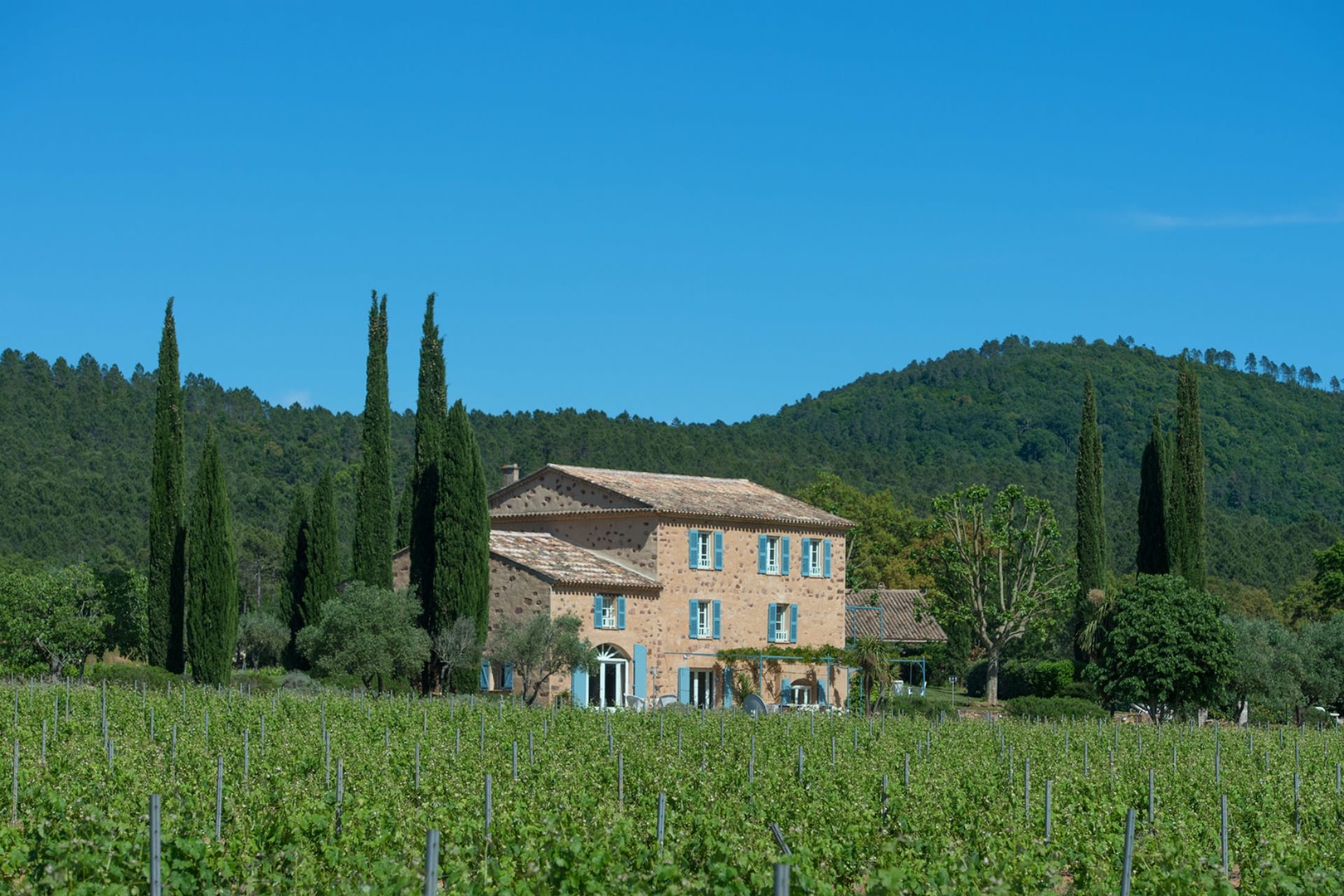 Luxury Bastide in Grimaud - Homanie