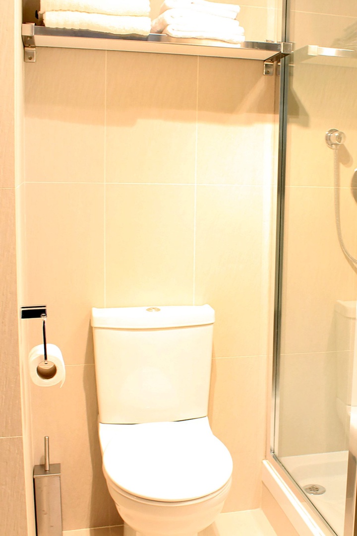 Apartment has one bathroom with shower, toilet and sink