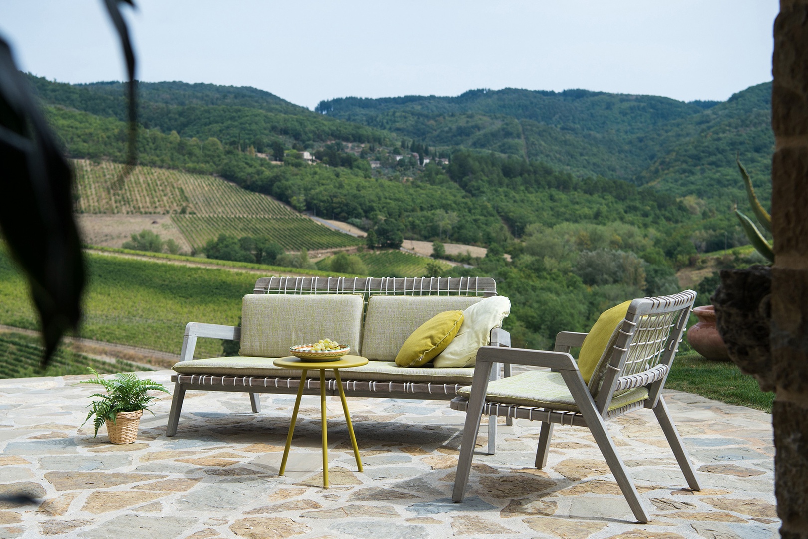 Breathtaking views of the hillside and vineyards