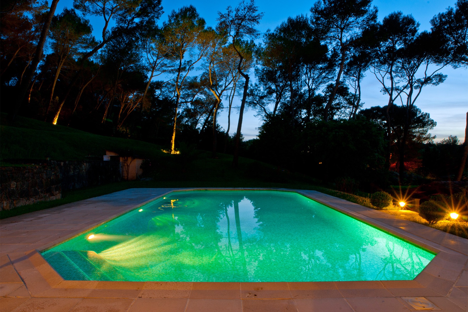 Stunning forest views from the pool house