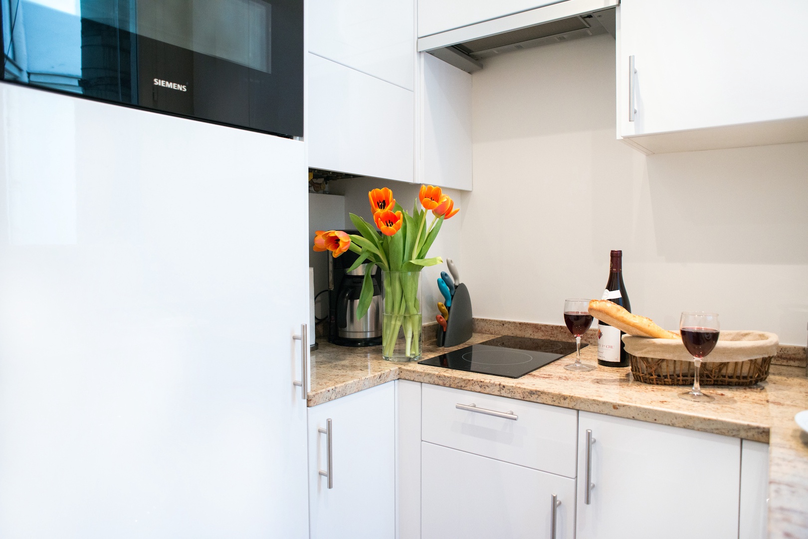 Combination microwave-oven and two-burner stove top