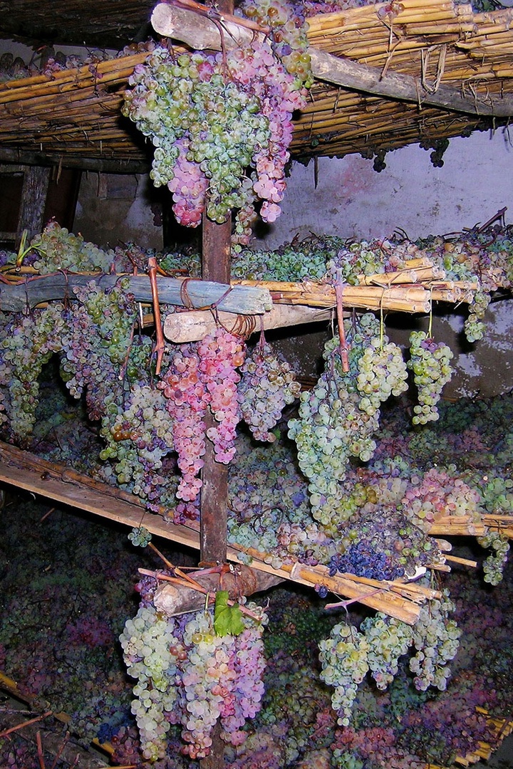 The grapes are drying for making the sweet, special Vin Santo.