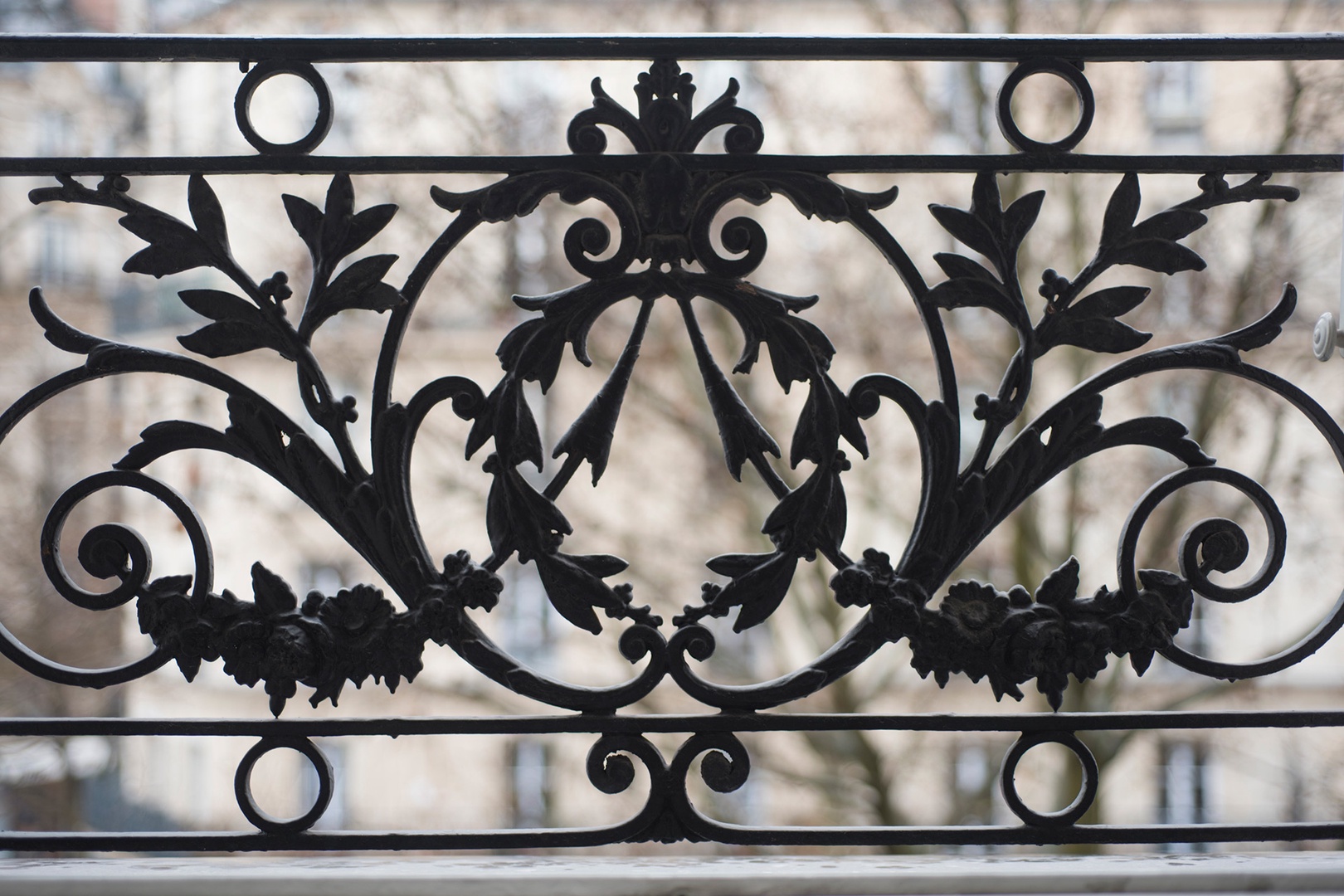The apartment is filled with chic Parisian touches, like this iron grillwork on the window.