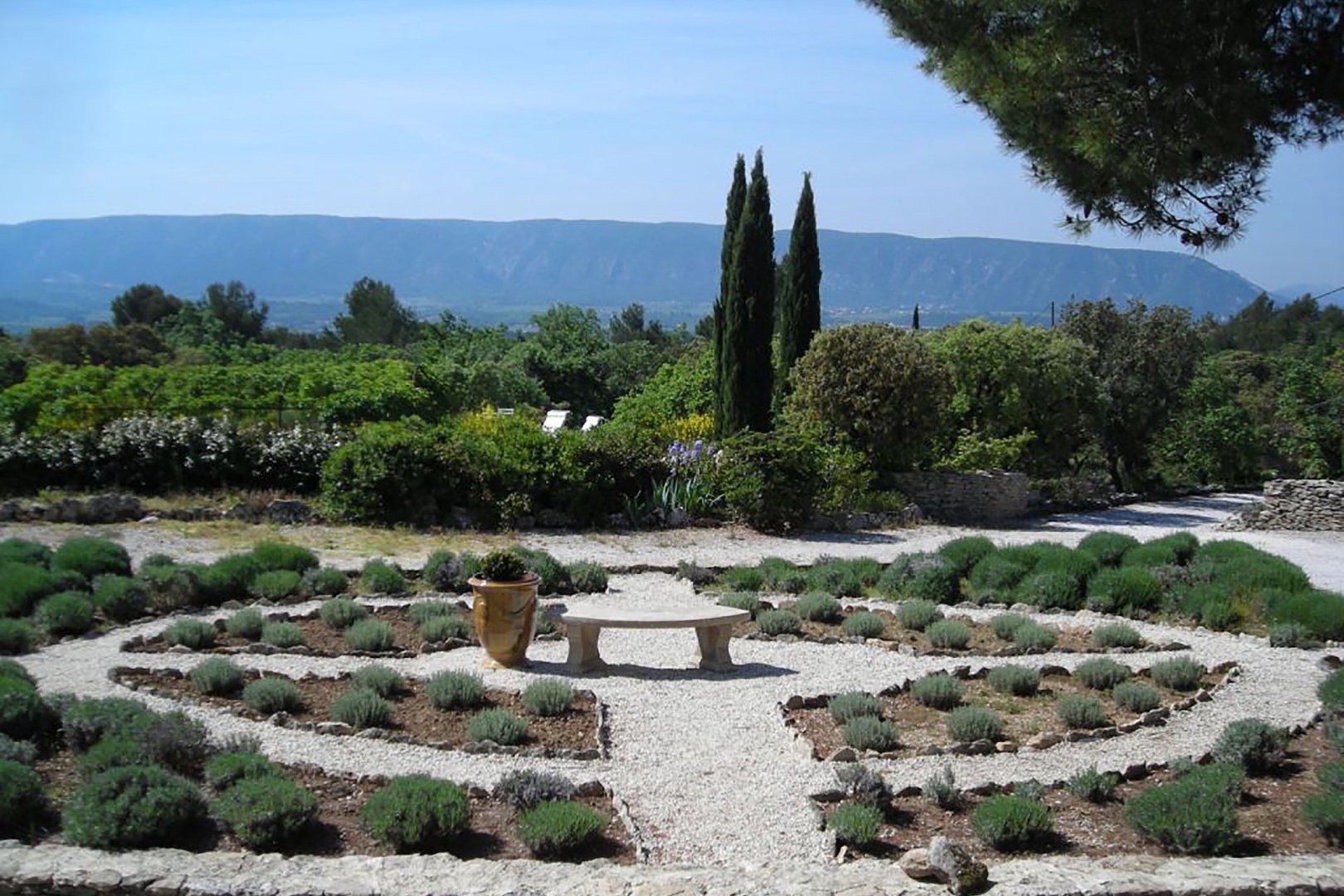 Enjoy lavender and the scents of Provence in the elegant gardens