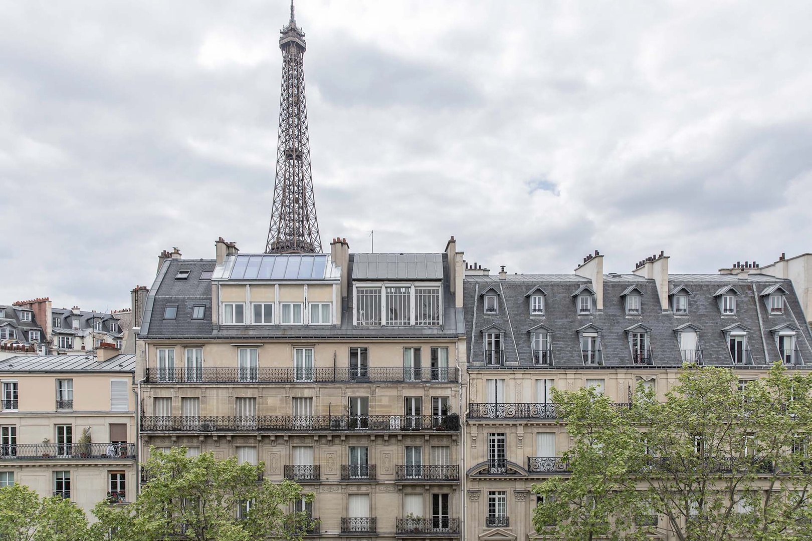 Gorgeous view of the Eiffel Tower and Haussmann buildings.