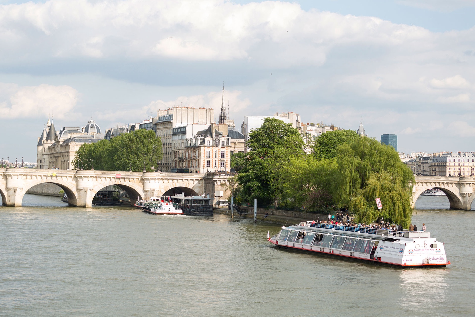 See Paris in style with a cruise on the Seine River.
