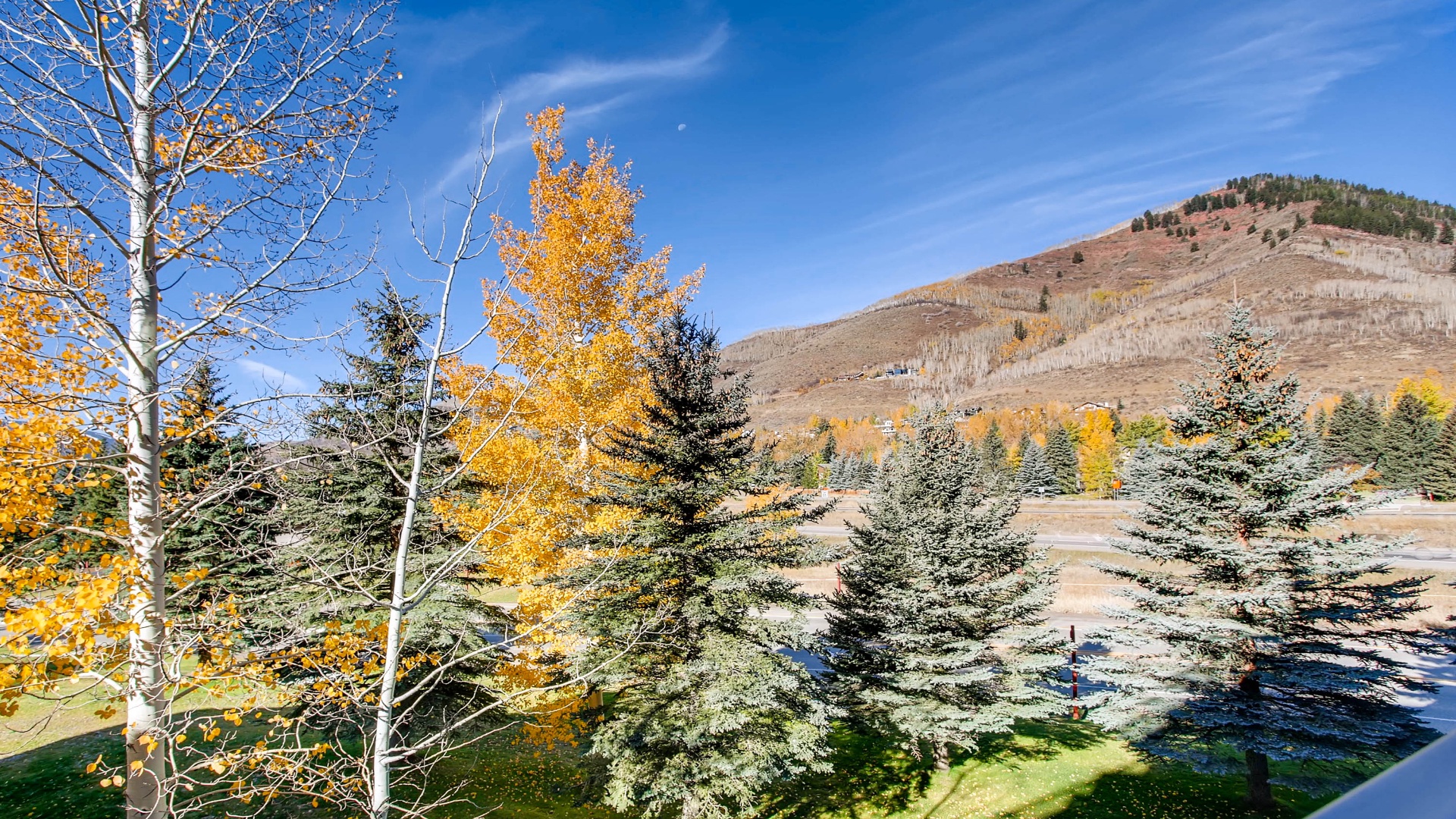 A stunning mountain landscape adorned with golden aspens and evergreens, showcasing the property's spectacular natural surroundings and seasonal beauty.