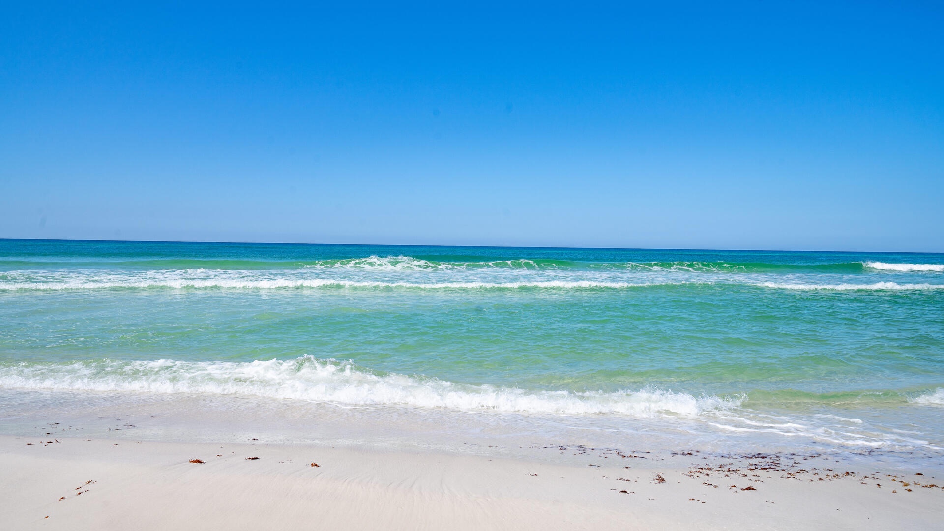 The emerald waters and sugar-white sands of the Gulf of Mexico!