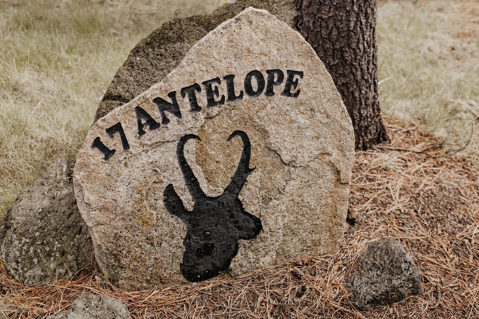 17 Antelope yard sign