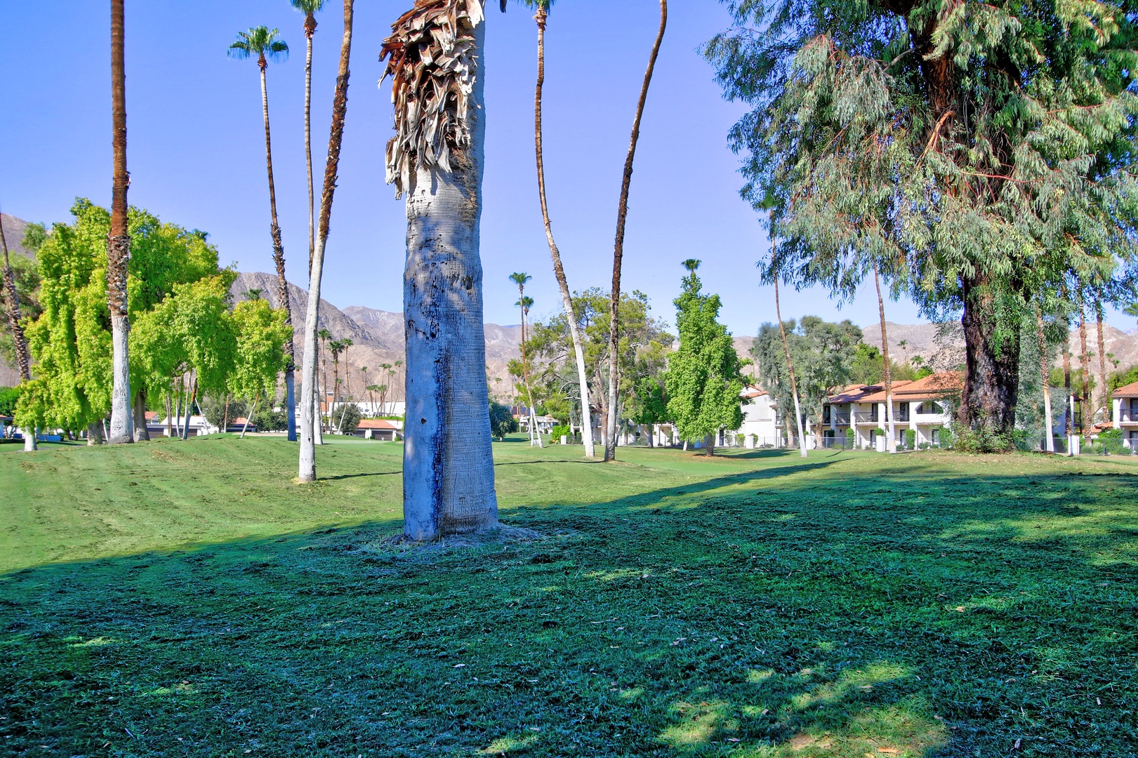 Rancho Las Palmas Country Club Rancho Mirage Rancho Mirage Condo