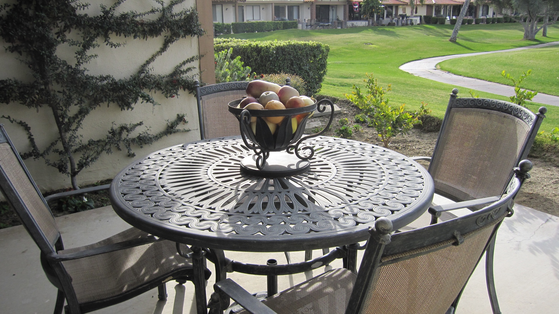 Back Patio