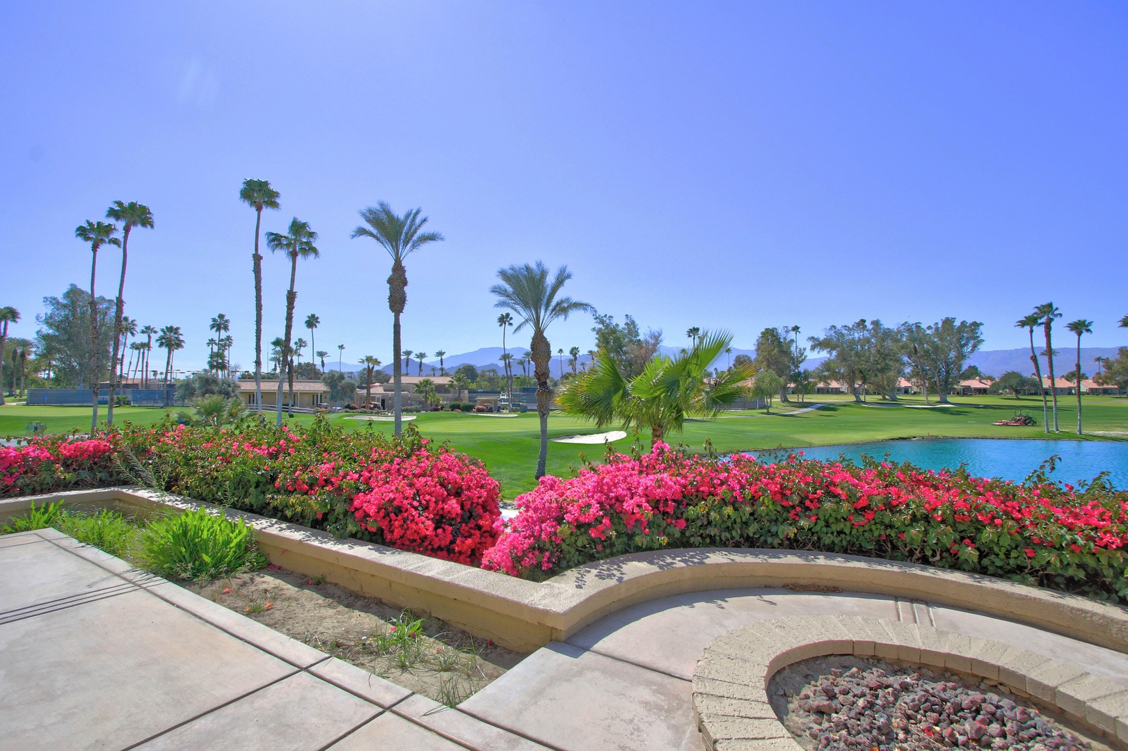 Desert Flower Apartments Palm Springs Best Flower Site