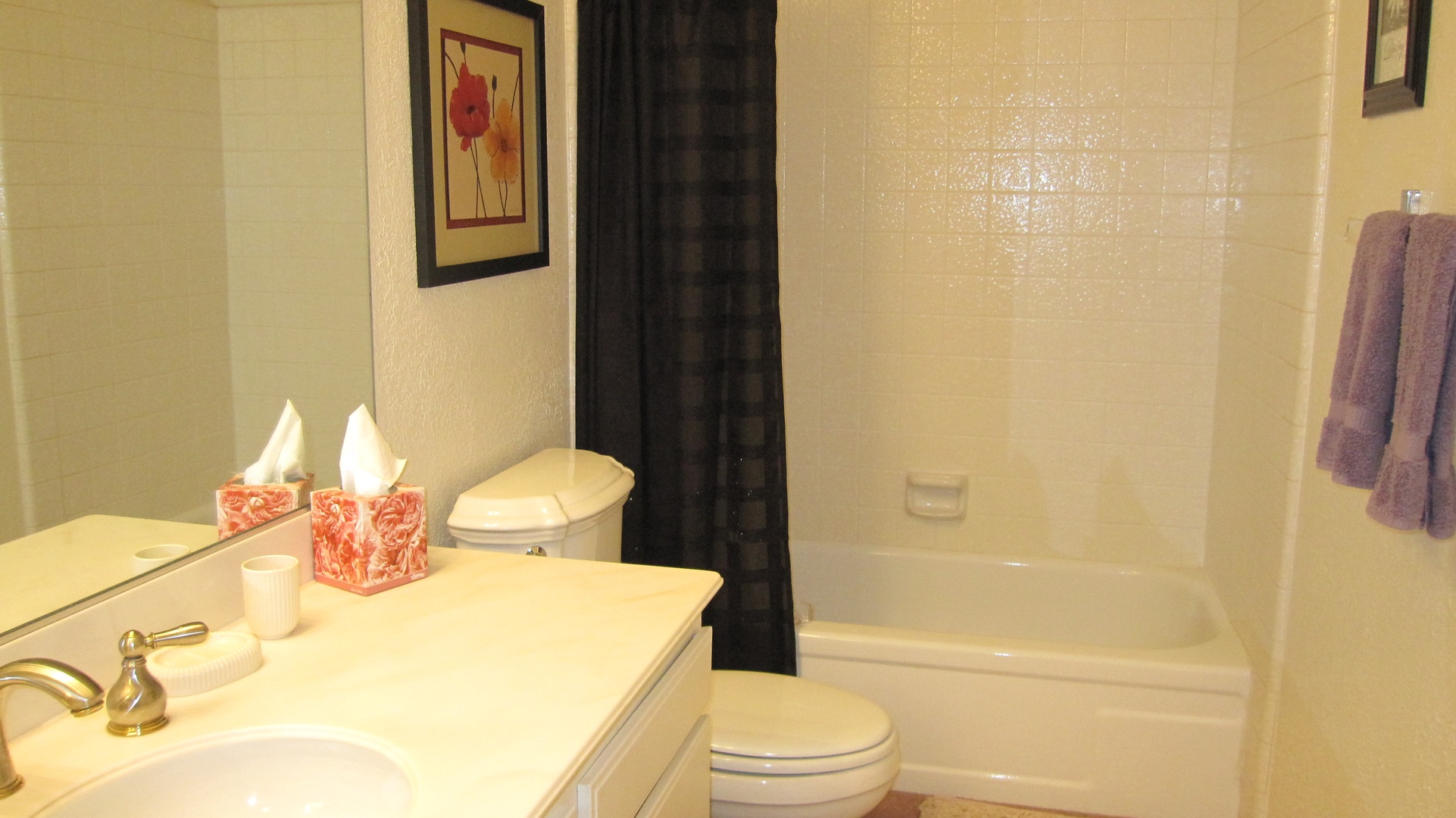 Guest Bath with Shower/Tub