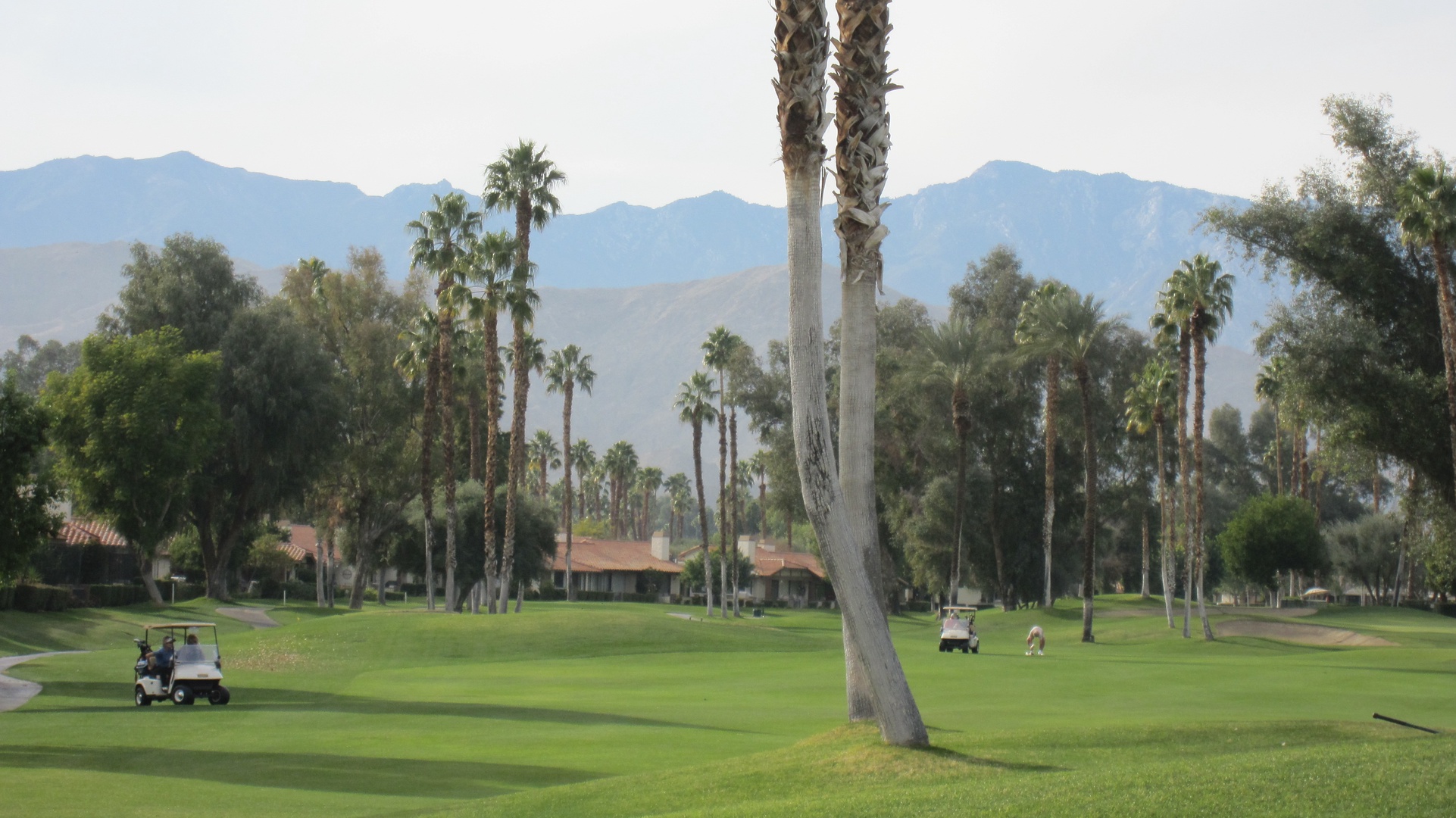Monterey Country Club Palm Desert Rancho Mirage Condo Rentals