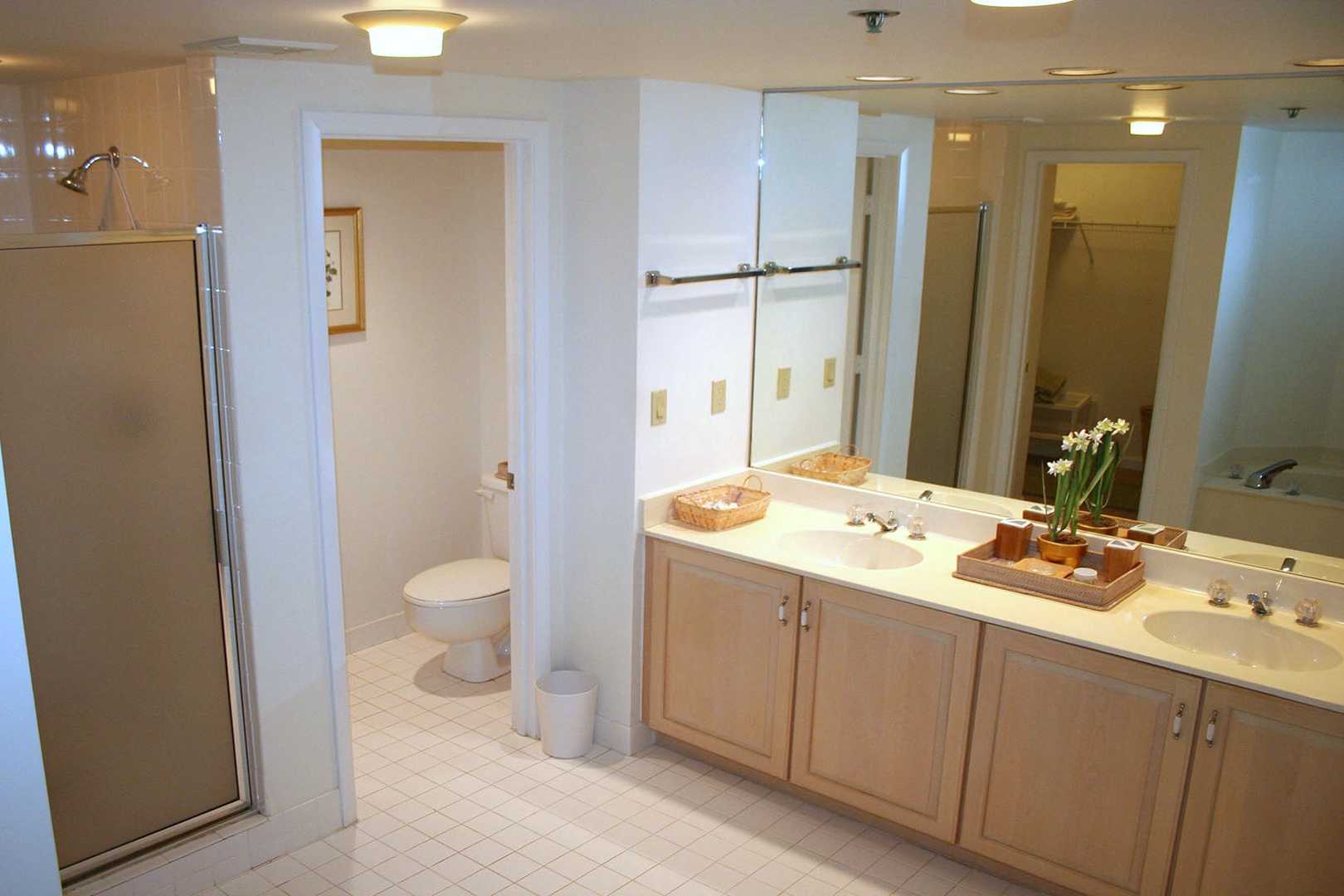 Ensuite Primary Bathroom