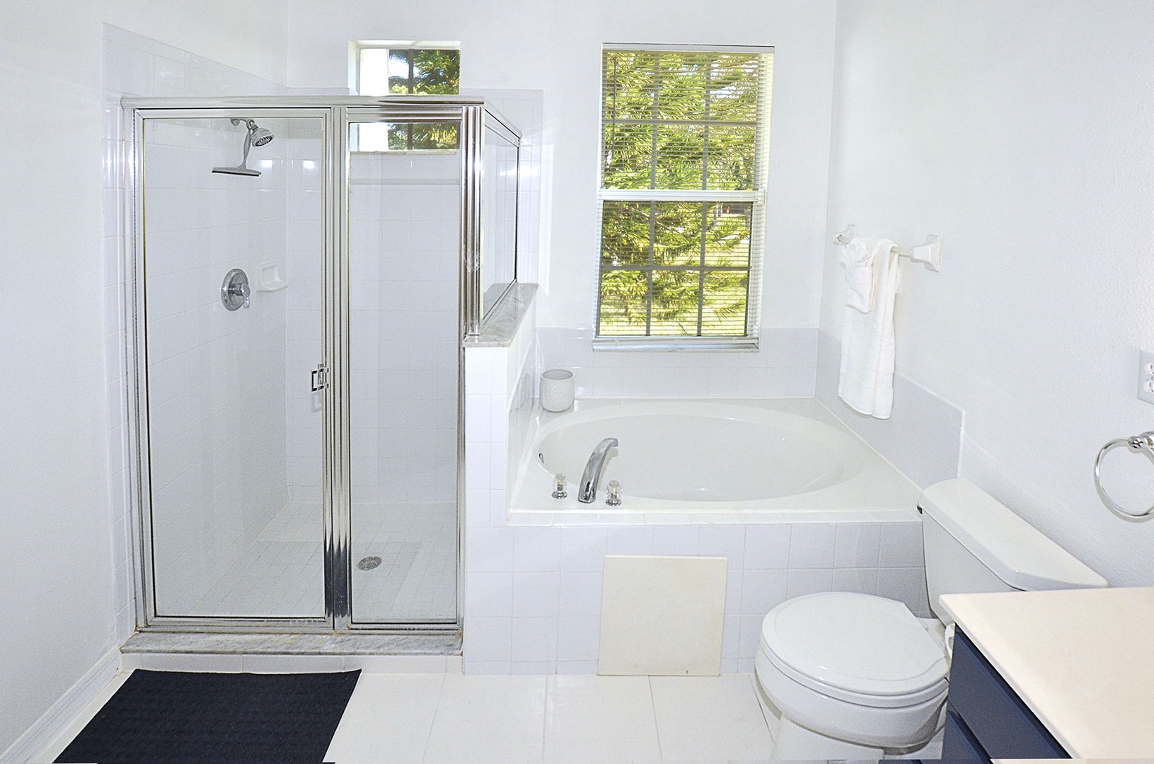 Primary Bathroom Shower & Tub
