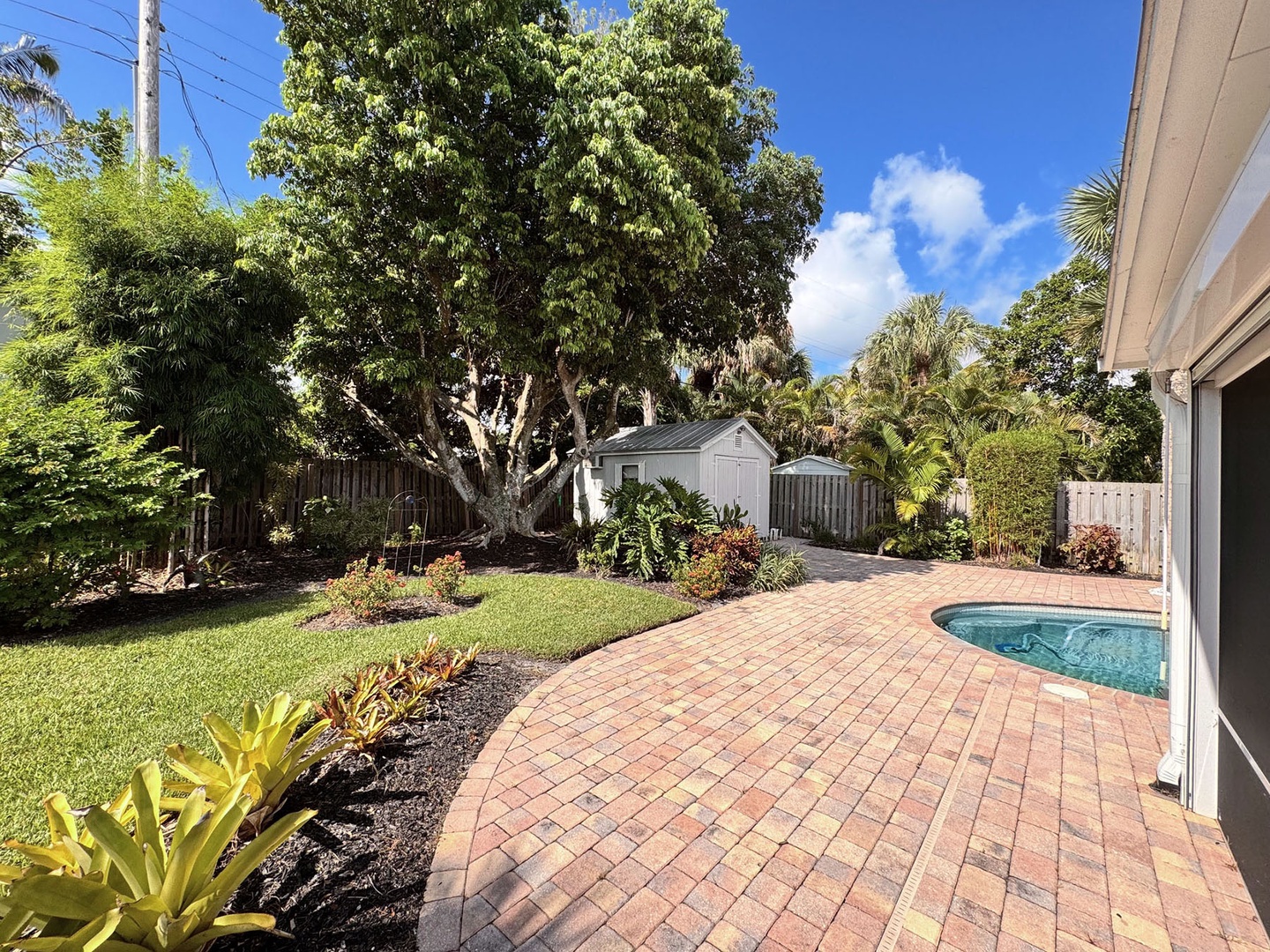 Back Yard / Swimming Pool