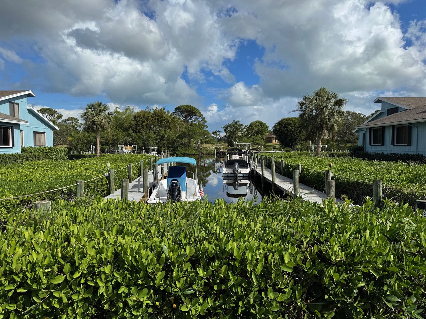 Docks View