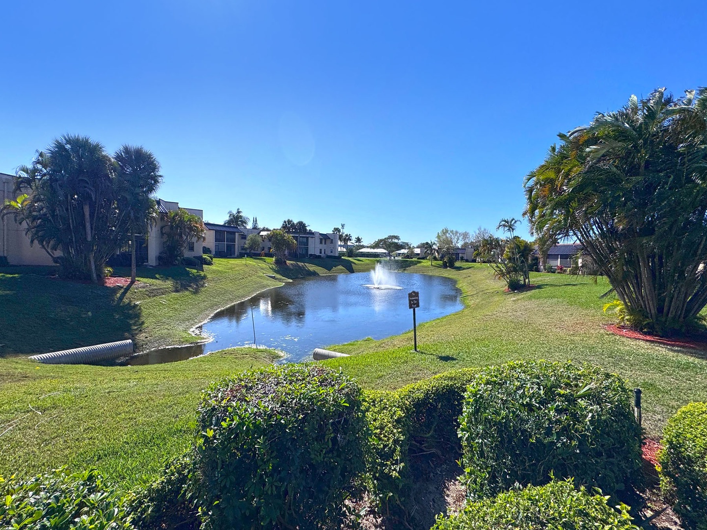 Peaceful community pond with fountain surrounded by manicured landscaping and tropical palms, creating a tranquil setting.